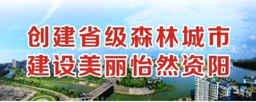 91视频美女大鸡吧创建省级森林城市 建设美丽怡然资阳